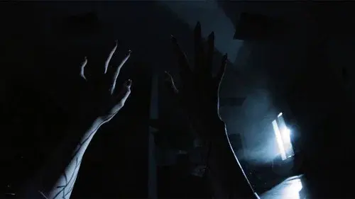 Chasing Shadows