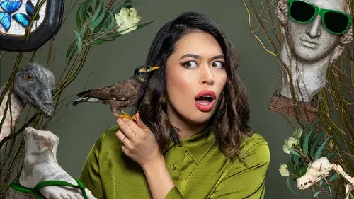 Tonight at the Museum