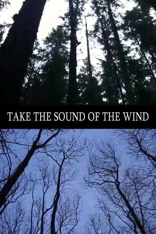 Take the Sound of the Wind