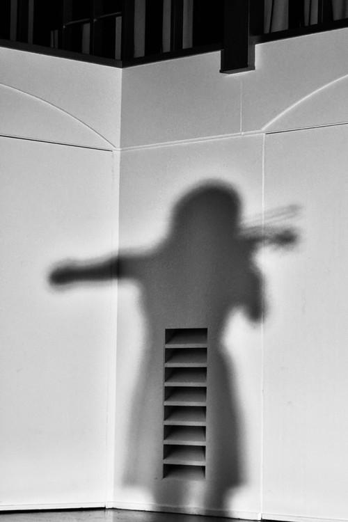 The Violinist