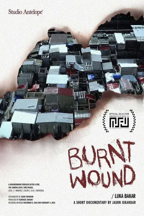 Luka Bakar
