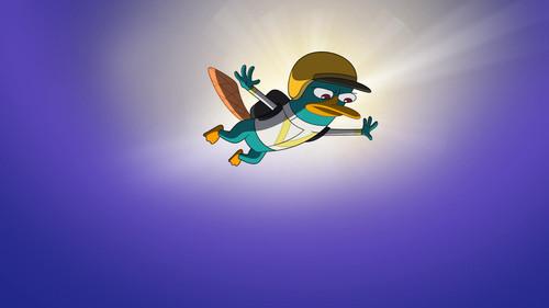 Agent P, Under C