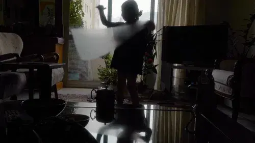 An Owl, a Garden & the Writer