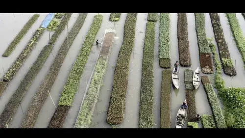 Elements of(f) Balance