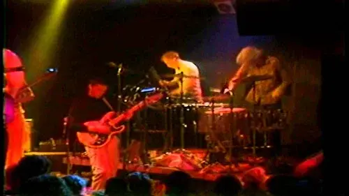 Butthole Surfers: Blind Eye Sees All