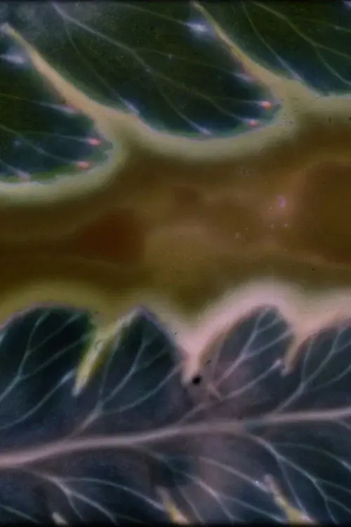Phytophonics