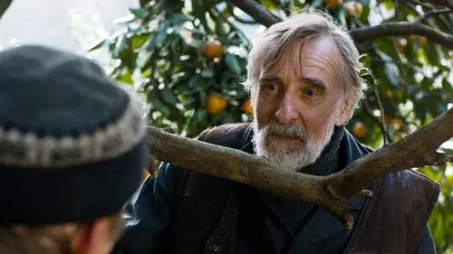 Tangerines