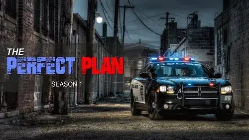 The Perfect Plan