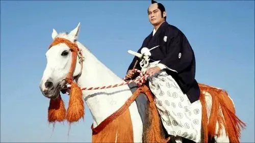 暴れん坊将軍