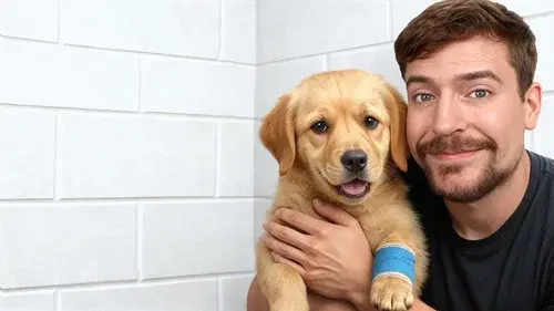 MrBeast: Inspiring Stories!