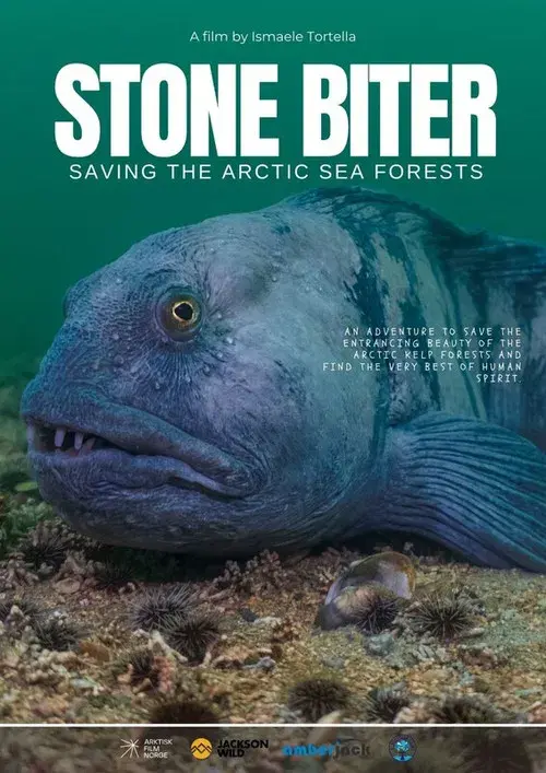 Stone Biter: Saving the Arctic Sea Forests