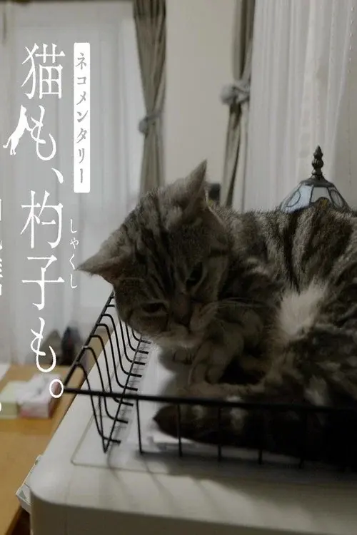 ネコメンタリー