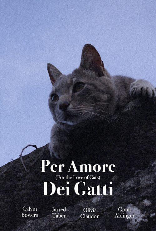 Per Amore Dei Gatti