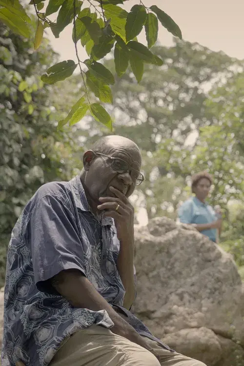 Drømmen om Serenada