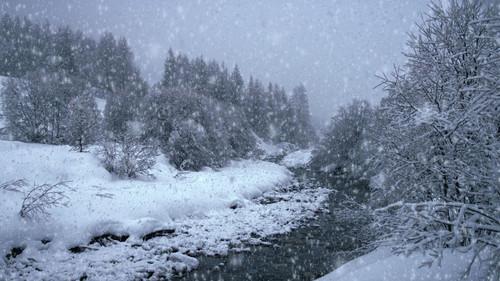 The Search for Snow