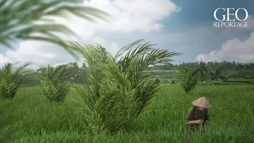 ARTE 360° Reportage