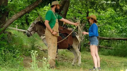 My Donkey, My Lover & I