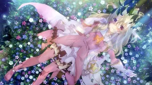 Fate/kaleid liner プリズマ☆イリヤ