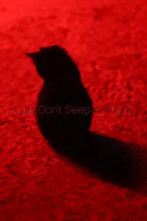 Cats Don't Sleep At Night