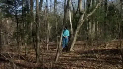 Shook Branches