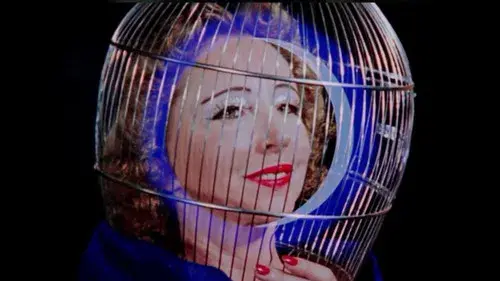 The Inauguration of the Pleasure Dome