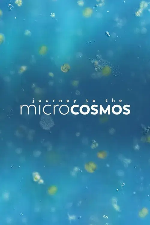 Journey to the Microcosmos