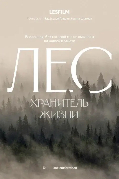 The Forest