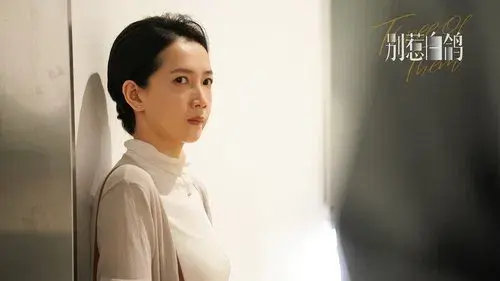 别惹白鸽