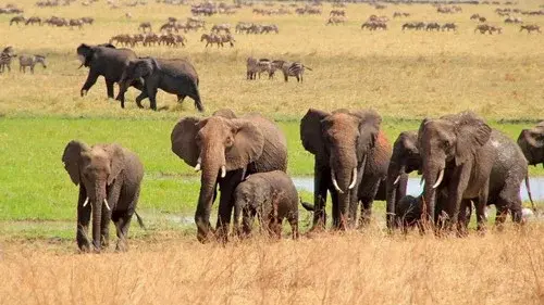 Fascination Africa 3D