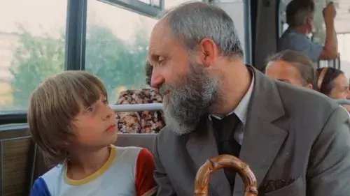 Day of the Humming Bird