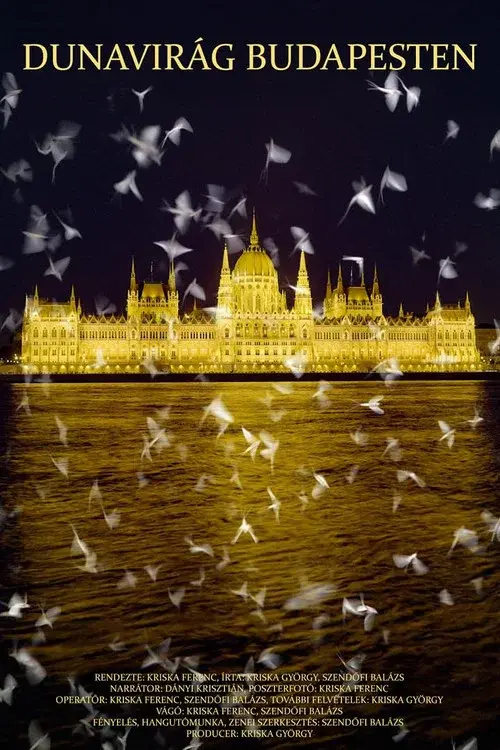 Dunavirág Budapesten