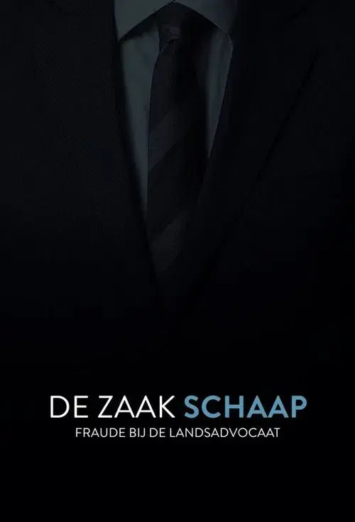 De Zaak Schaap: fraude bij de landsadvocaat
