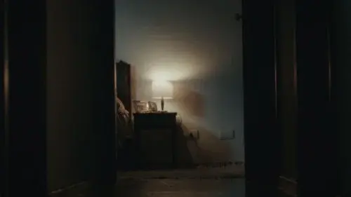 Catsarida