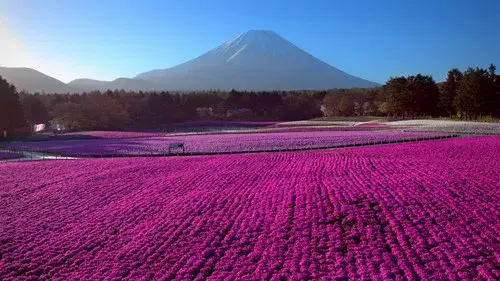 Le Japon vu du ciel