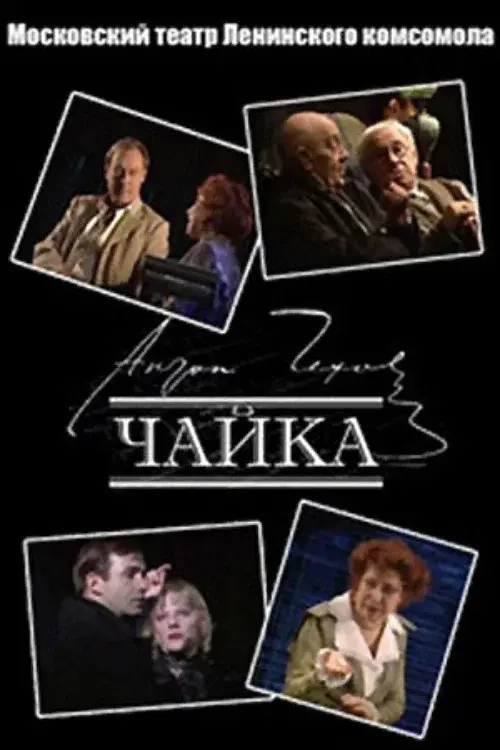 Чайка