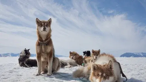 Arctic Circle