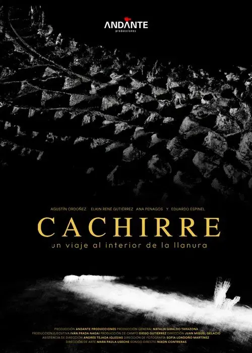 Cachirre