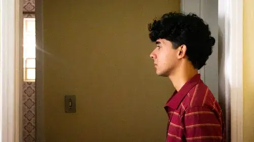 Não Era Óbvio