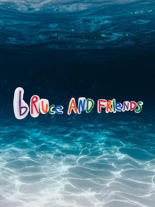 Bruce And Friends