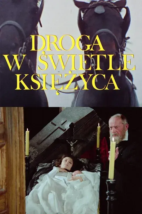 Droga w świetle księżyca