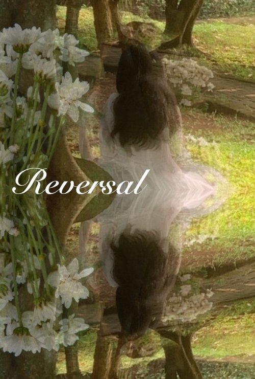 Reversal
