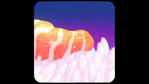 Sexy Sushi