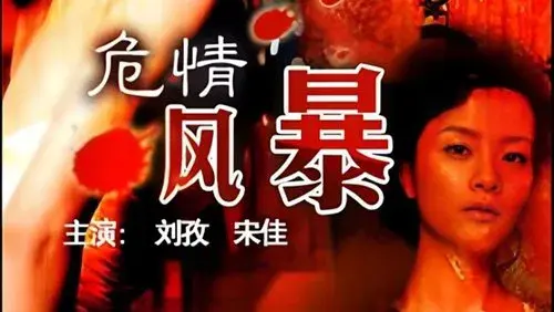 危情风暴