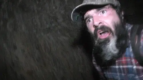 Wilderness Tapes: Volume One