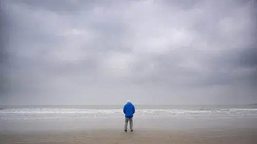 Ocean with David Attenborough