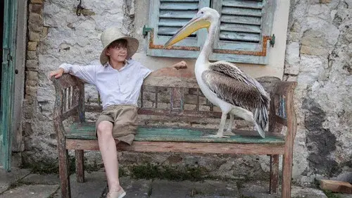 The Durrells