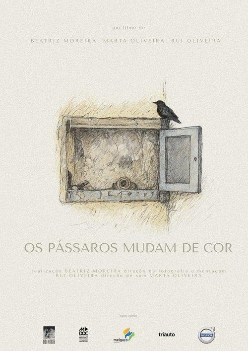 Os pássaros mudam de cor