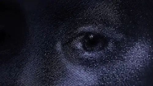 The Painting