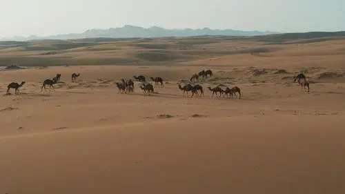 L'Iran vu du ciel