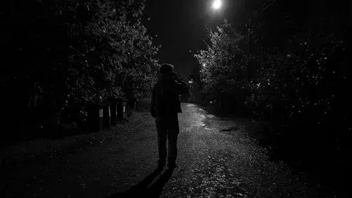 Harmony of Midnight